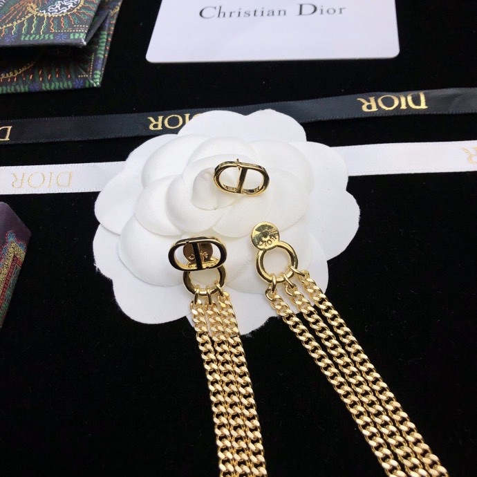 Christian Dior Earrings